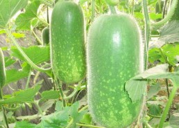 吃瓜网每日大赛聚集地