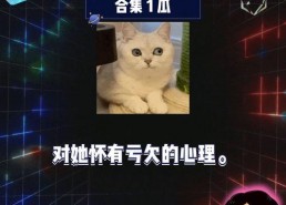 娱乐吃瓜娱乐八卦,揭秘明星幕后故事与八卦趣闻