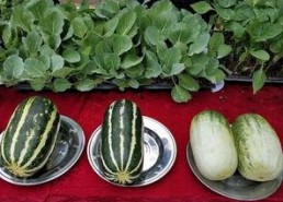 娱乐吃瓜壁纸,揭秘明星幕后故事，带你领略娱乐圈风云变幻