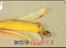 吃瓜不吐香蕉皮娱乐号能,揭秘娱乐圈那些不为人知的幕后故事