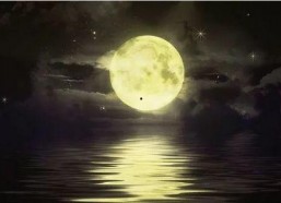 娱乐吃瓜酱月亮是我杀的