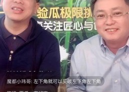 娱乐吃瓜老头直播,娱乐吃瓜老头，带你领略直播界的趣味人生