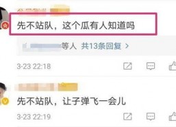 娱乐吃瓜不站队,吃瓜群众不站队，揭秘幕后真相