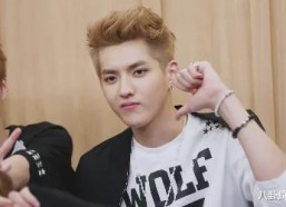 吃瓜娱乐圈任豪,娱乐圈的瓜田新秀，星光璀璨的蜕变之路