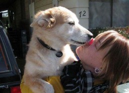 娱乐吃瓜酱舔狗,娱乐界的甜蜜苦涩