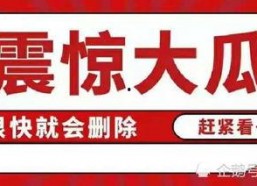 娱乐吃瓜八卦账号,明星幕后故事大曝光！