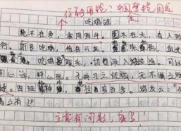 娱乐吃瓜酱仿写,揭秘明星们的幕后故事